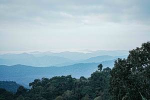 BIB: 
                            <button type="button" onclick="openModal(25651863)" class="btn btn-primary btn-sm float-right btn-popup" data-toggle="modal" data-target=".modal-high-quality">
                        <i class="fas fa-shopping-cart"></i> Add to Cart
                    </button>
                                            <button type="button" onclick="isThisMe(25651863, true)" class="btn btn-success btn-sm float-right btn-popup btn-isme hidden" data-toggle="tooltip" data-placement="bottom" title="นี่คือรูปของคุณใช่ไหม คลิกที่นี่เพื่อเอาเข้าอัลบั้ม">
                        <i class="fas fa-plus"></i> Add to album
                    </button>
                    <button type="button" onclick="isThisMe(25651863, false)" class="btn btn-warning btn-sm float-right btn-popup btn-isnotme hidden">
                        <i class="fas fa-ban"></i> Remove from album
                    </button>